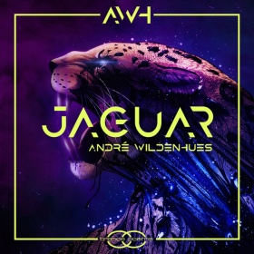 ANDRE WILDENHUES - JAGUAR